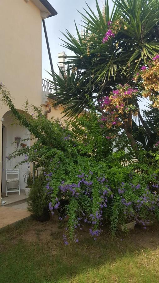 B&B Villa Orchidea Olbia Exterior foto